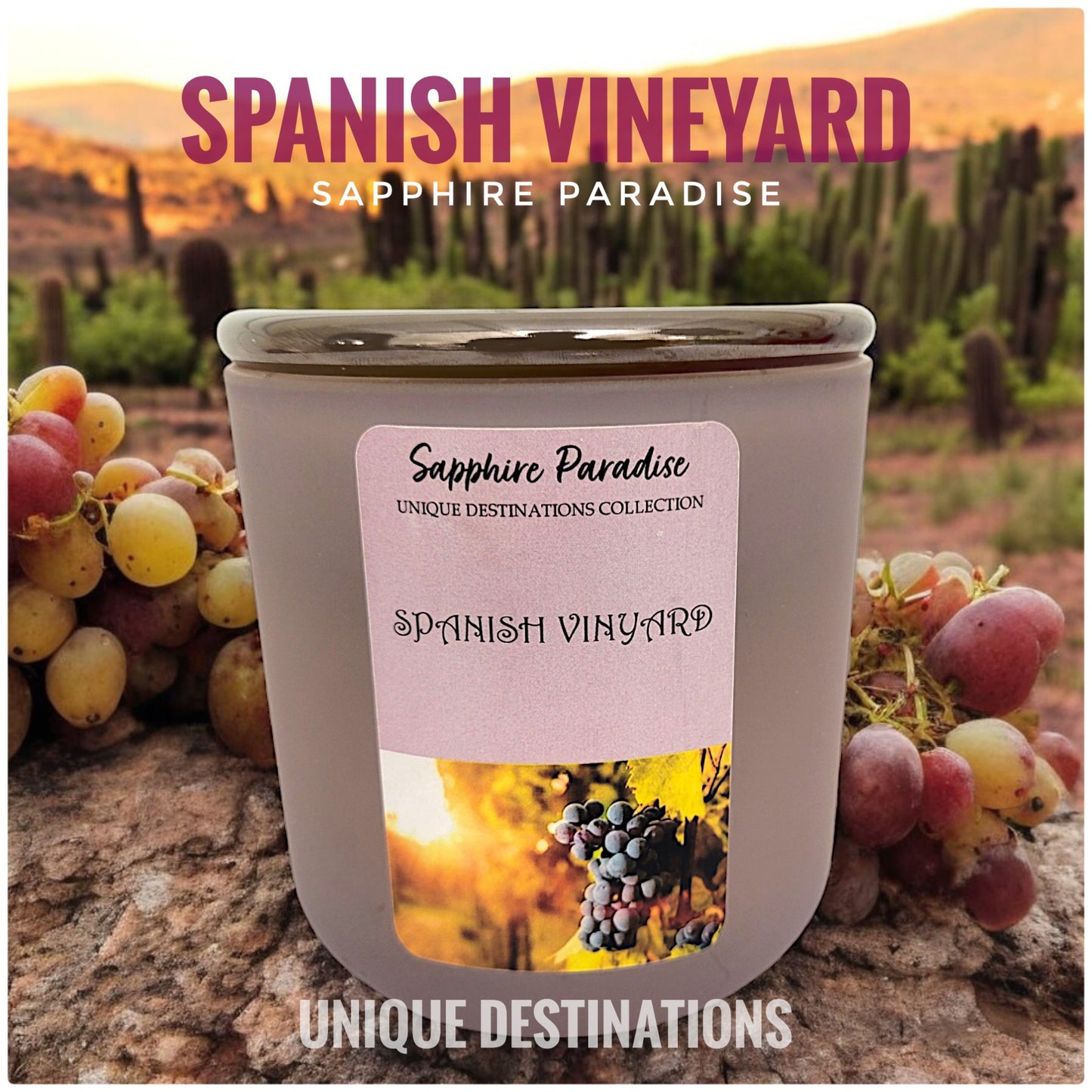 Spanish Vineyard