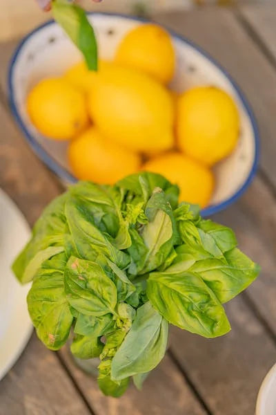 Citrus & Basil (Aromatherapy Sugar Scrub)